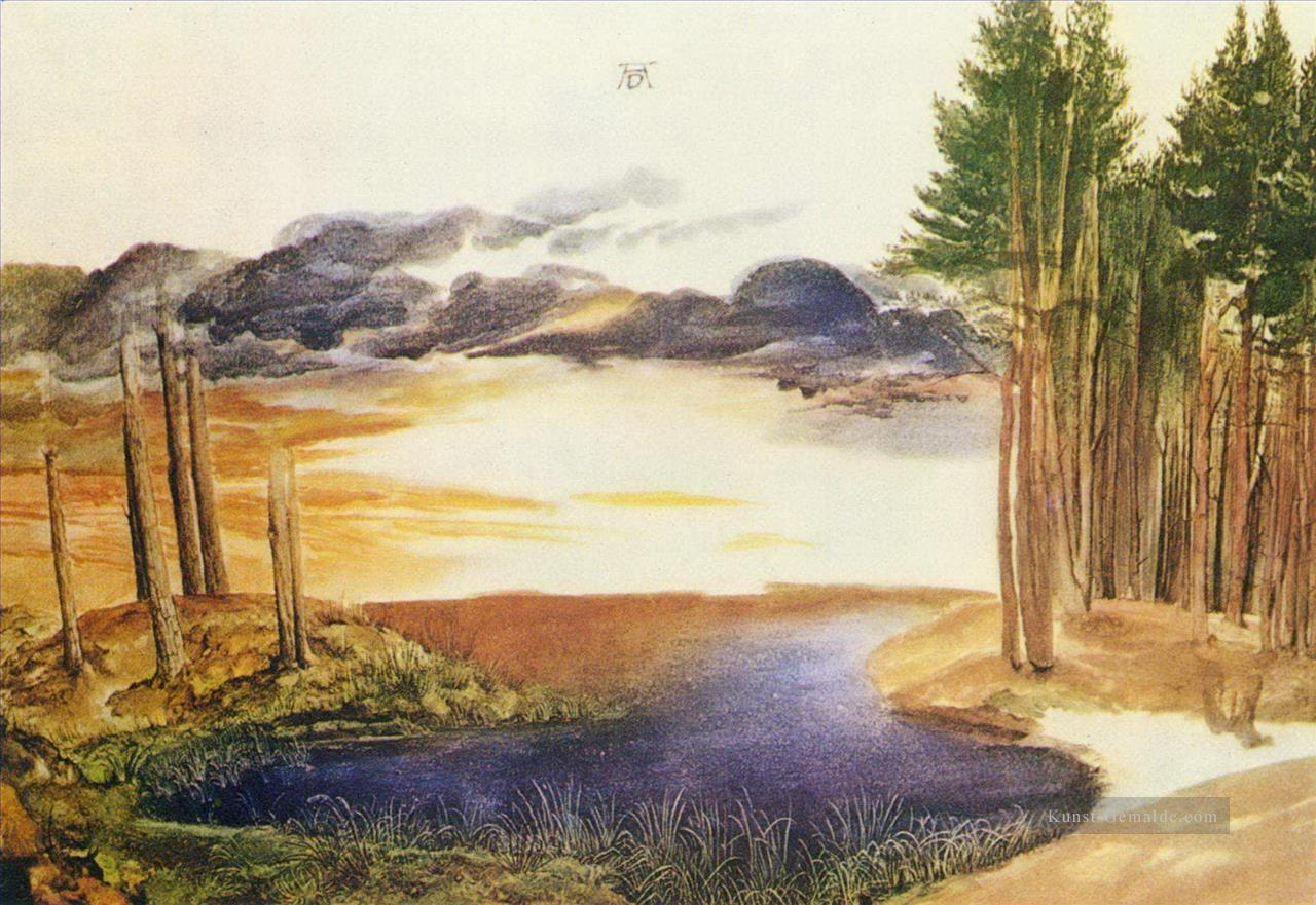Teich im Wald Albrecht Dürer Ölgemälde